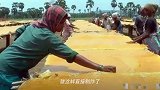 中国畅销15年的零食,却是产自印度?看到制作过程瞬间没有食欲了