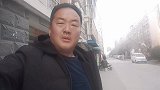 狗市又遇极品拉布拉多，亮哥该出手时就出手，这种狗真的很难遇