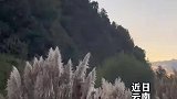云南还有多少惊喜是你不知道的，公交站旁有个温泉可边泡边等公交