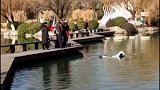 女子不慎踩空坠湖，因羽绒服漂浮获救