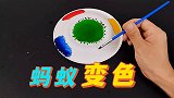 蚂蚁变色实验，是真的吗？