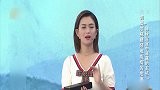 大医本草堂：“拔针”就能治好颈椎病？治病原理需了解一下
