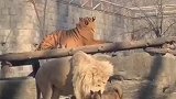 这味道可以，这么香呢