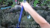 靠山吃山靠水吃水，靠着海边吃海鲜，现抓现烤最新鲜