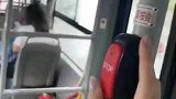 公交车停车按键竟然给配了音乐了