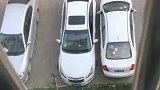 无意中拍到楼下停车，这一幕把我看愣了，驾照是捡来的吧