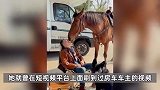 男子开百万豪华房车回乡，还载着一匹马、一条狗、一辆摩托车
