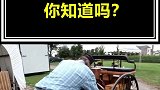 这些汽车起源你知道吗？很有意思