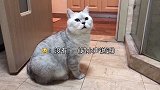 是不是不能说女孩子胖啊