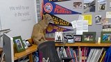美国：一郊狼在开学第一天闯入教室打断学生上课