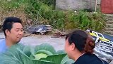 别人送鲜花，这大哥送包菜！