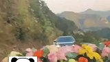 私家车山路遇婚车队，主动倒车几公里让路，新郎发烟表示感谢