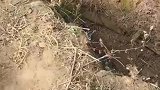 一哥们跳水沟时，真是太搞笑了！