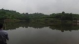 100元一天的水库，用谷麦钓，一个窝上了5条大鲤鱼