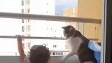 懂事的猫咪，知道看护好孩子