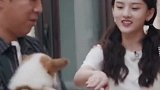黄渤宋祖儿一见面就疯狂互怼，来啊互相伤害，狗狗表示很无辜！