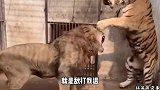 妈耶，媳妇你别烤了，辣眼睛啊