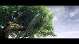 魔道祖师：江澄见到久违的姐姐，忍不住泪流满面