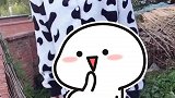 村里的姑娘，你的一举一动都是那么让人着迷
