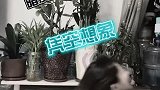 法拉利的推背感，小姐姐一眨眼，人都找不到