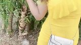 包臀裙打扮的长腿美女小姐姐,就欣赏那完美的魅力身材