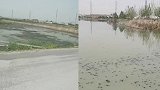 石家庄百亩农田被指遭污水连年淹没 当地回应：生活污水管道破裂