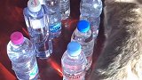 艾特你爱的人让他多喝水！你今天喝水了吗？萌宠