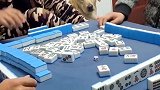 四川方言配音：你打麻将打得是真烂，还不如让我来啊