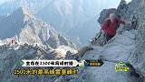 波兰登山者登峰顶后竟发现一只猫，生存在2500米的高山上