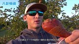 小乌龟会吃鸡腿吗？牛人做出试验，结果太意外
