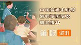 学历层次明显提升！对比我国十年前数据，新时代教师队伍发展迅速