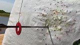 花式射箭连环上演 超远距离击中气球堪称神奇！