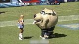 《爆笑60秒》NFL吉祥物跟美女有仇 专挑球场漂亮女生“欺负”