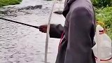 钓鱼者独家研制，这可是纯纯的氧气泵啊