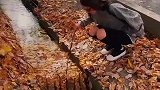 水流被树叶挡住，女子好心用树枝疏通