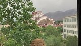 这是五月的拉萨，一场雪白了山头