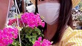 在周末的日子里，搜刮生活藏下的所有快乐 #vlog我的日常  #日本   #养花