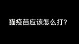 猫疫苗应该怎么打？