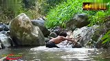 荒野美食，小猎人在野外烤鱿鱼吃，看这吃相感觉味道很不错