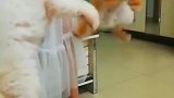 一定要在气势上压制对手