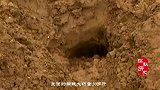 四川农民挖出古钱币，颠覆历史认知，专家：难怪蜀国最先灭亡！