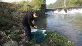 打窝子放地笼，想要“空军”都很难，中了四条大鲫鱼