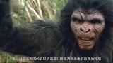 古人类的足迹说明什么或揭示人类起源之谜，可追溯到百万年前