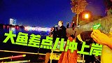 夜钓：大鱼差点冲上岸，围观钓友直呼第一次见，这场面太过瘾了