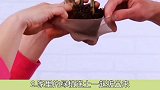 原来袜子不只是来穿的看完算是涨见识了