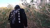 红树林抓螃蟹，逮到一只超大公蟹，螃蟹太大要抓不住了