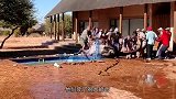 长颈鹿不慎掉入游泳池，差点淹死，十几个人赶来相救！