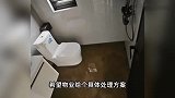 男子婚房渗水开门后崩溃，恶臭扑鼻而来，整屋被粪水浸泡漫过脚踝