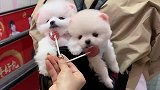 小姐姐糖甜不甜