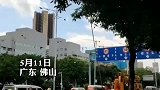 广东佛山 园林人员清理路树芒果 路人竟拾走解馋